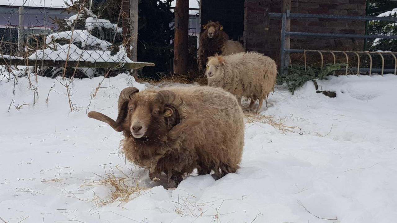 Zimmervermietung Zahn Baalberge Exterior foto