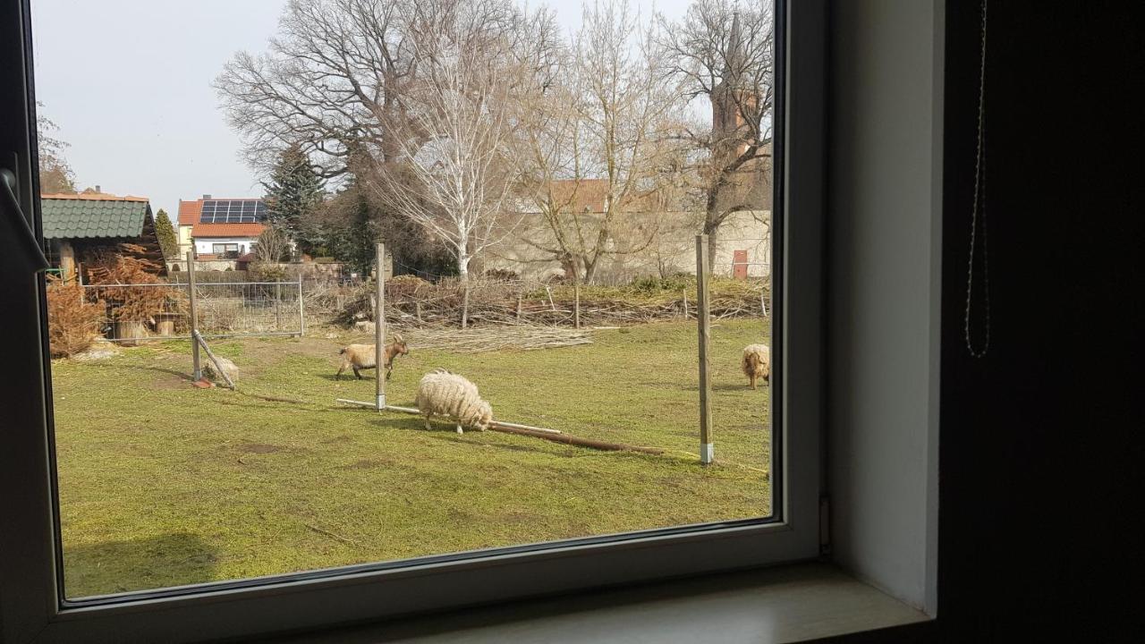 Zimmervermietung Zahn Baalberge Exterior foto